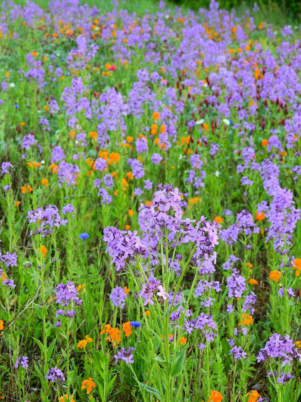 户型设计要点解析