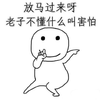 血管小医生