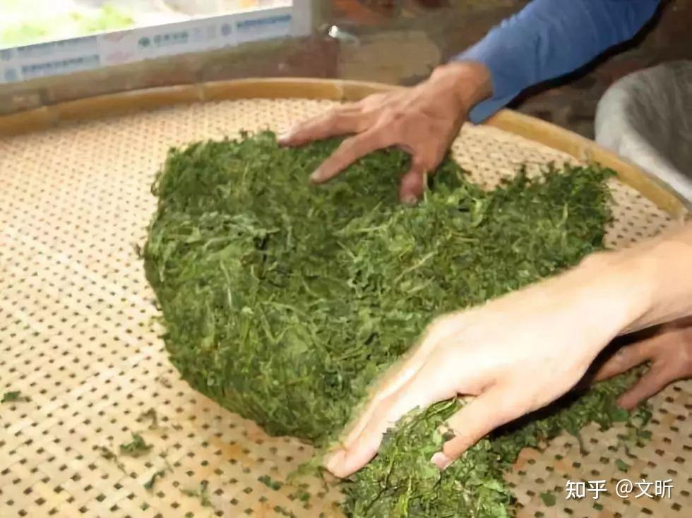 茶科普|铁观音茶叶的制作过程 - 知乎