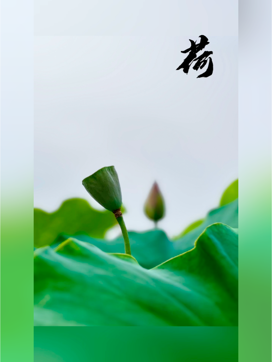你感觉不错的一组照片有什么