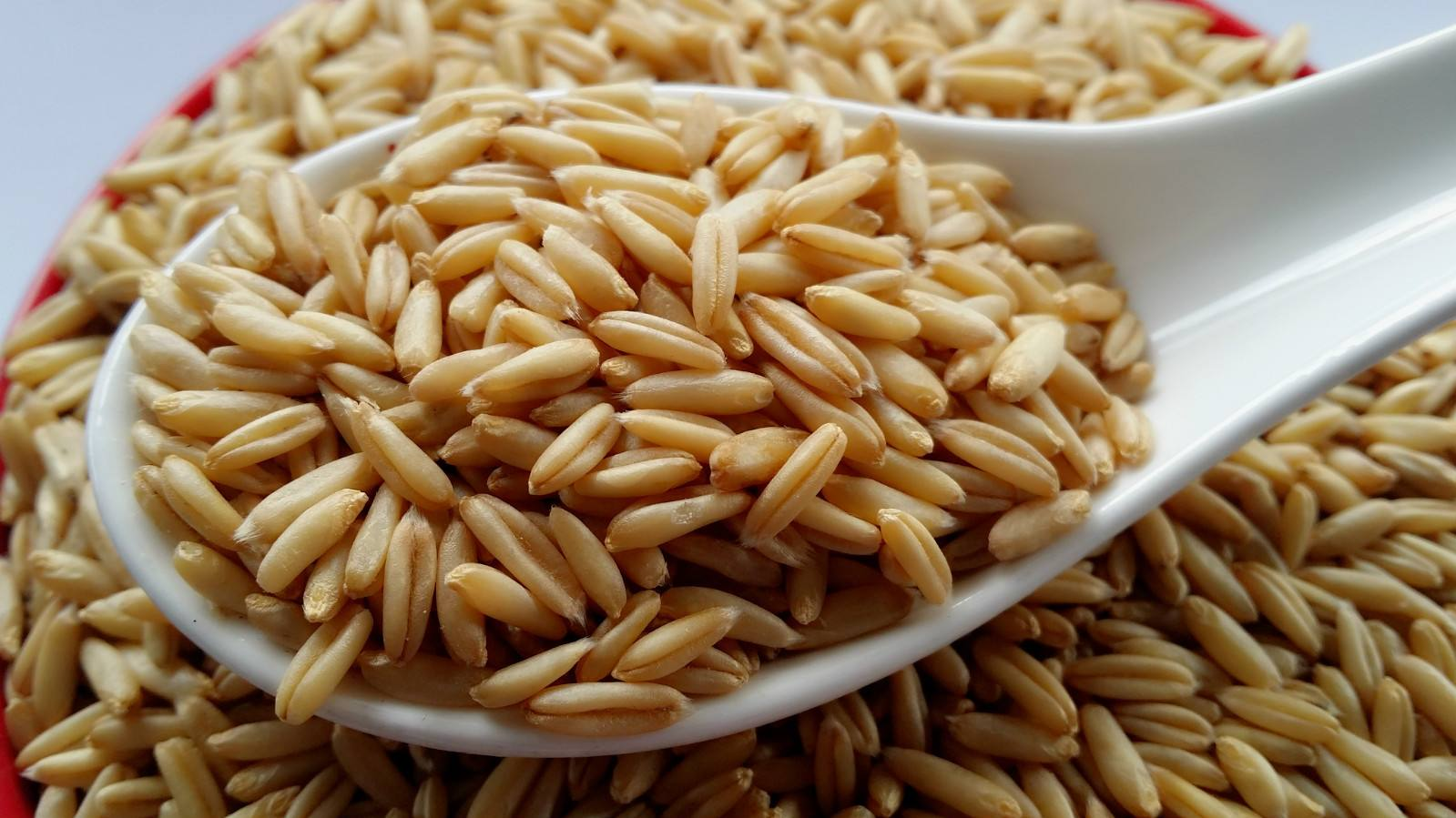 裸燕麦在减肥的功效上和皮燕麦有多大差距减肥期间可以食用裸燕麦食品
