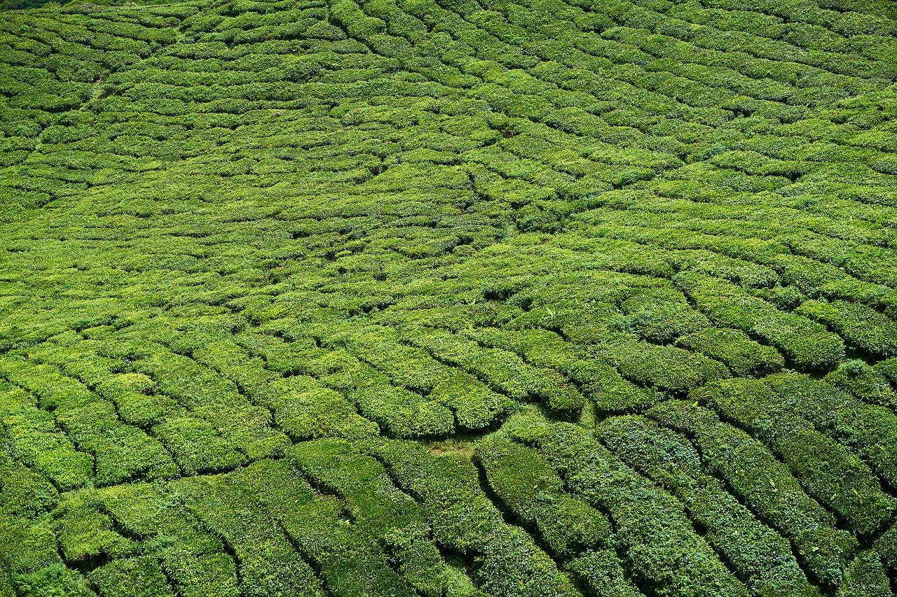 4. 人工管理费用