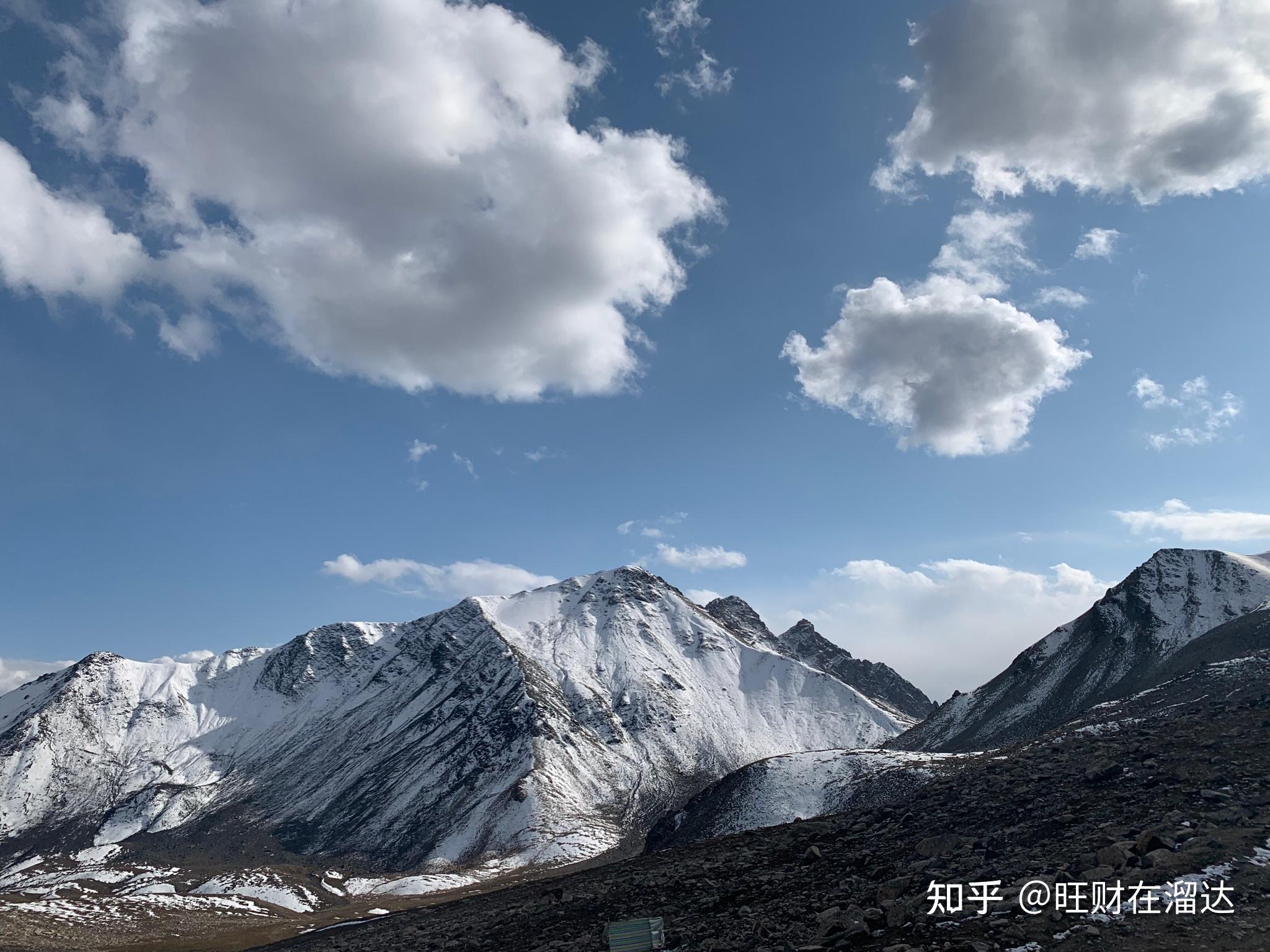 真实的棉花田究竟是什么景象? - 知乎