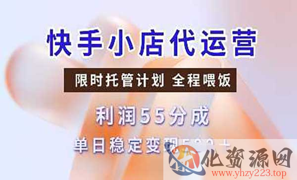 快手小店代运营_wwz