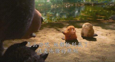 《河狸变身计划》豆瓣7.4！皮克斯新片笑到岔气