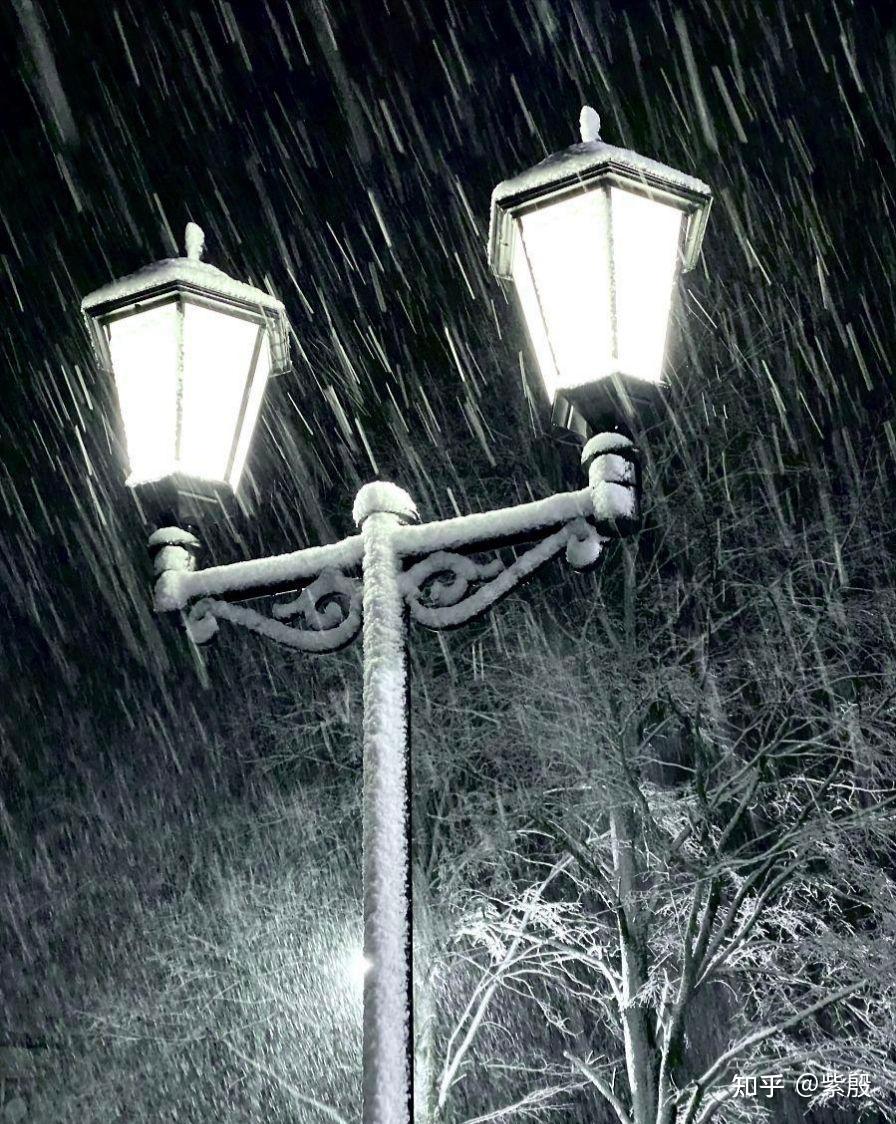 可以用路灯,雪,围巾造句吗?