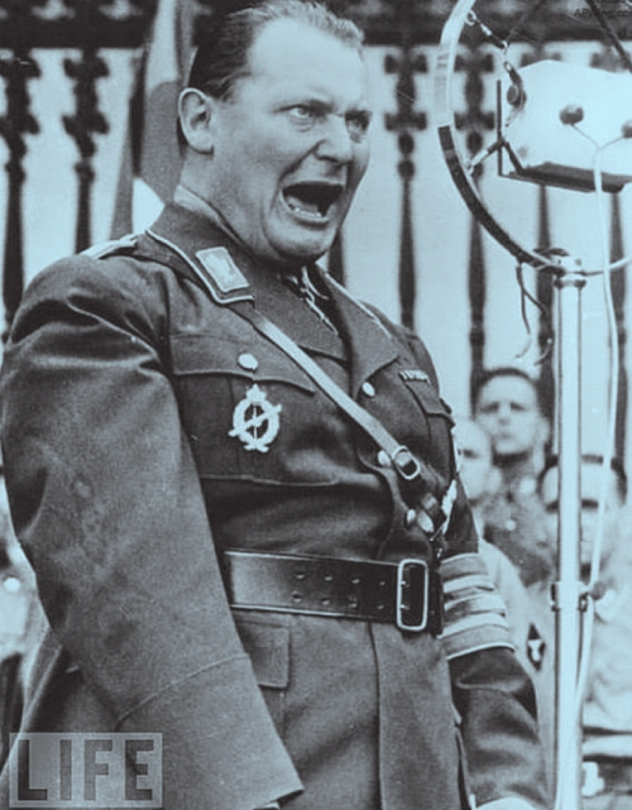 德国空军元帅戈林.他在第一次世界大战时是德国空军的王牌飞行员