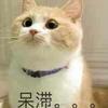 小龙爱读书
