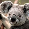 user-profile-image