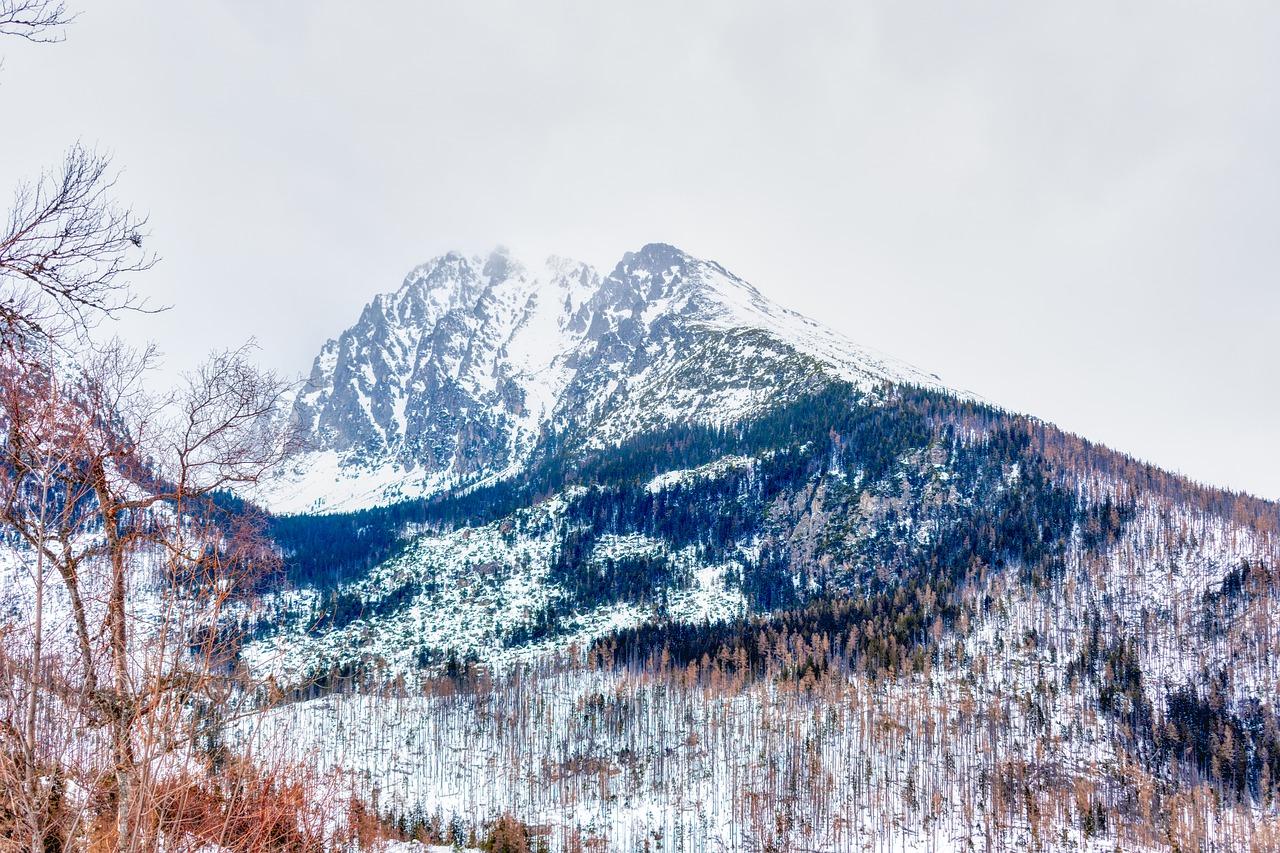 2. 四面环山别墅