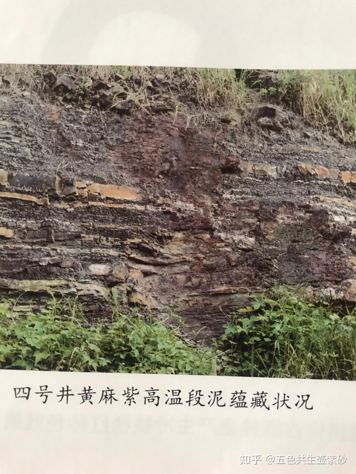 黄龙山珍稀高温麻子段泥共生矿紫砂的矿物质含量及特性？ - 知乎