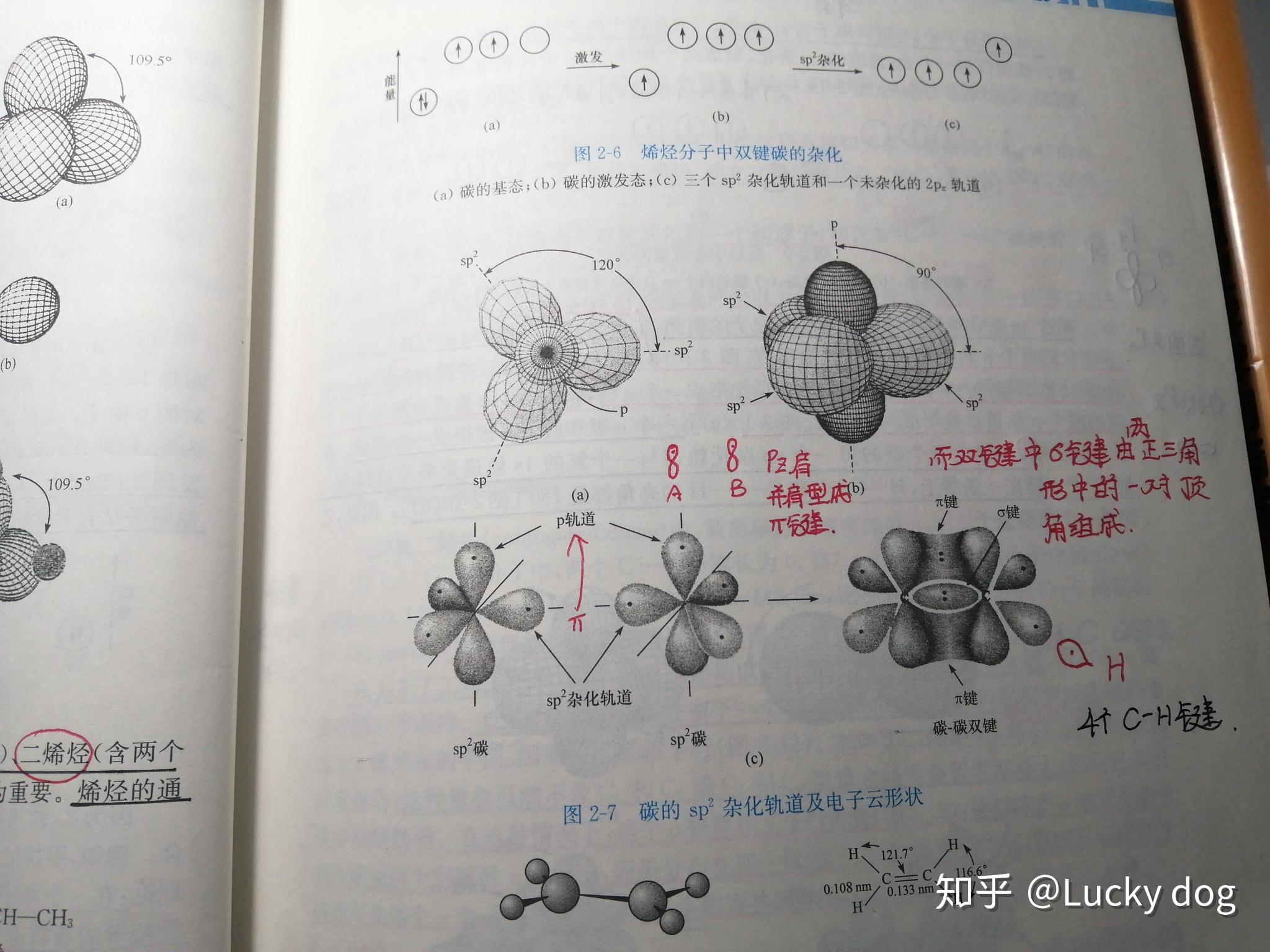 碳原子的轨道形状怎么画