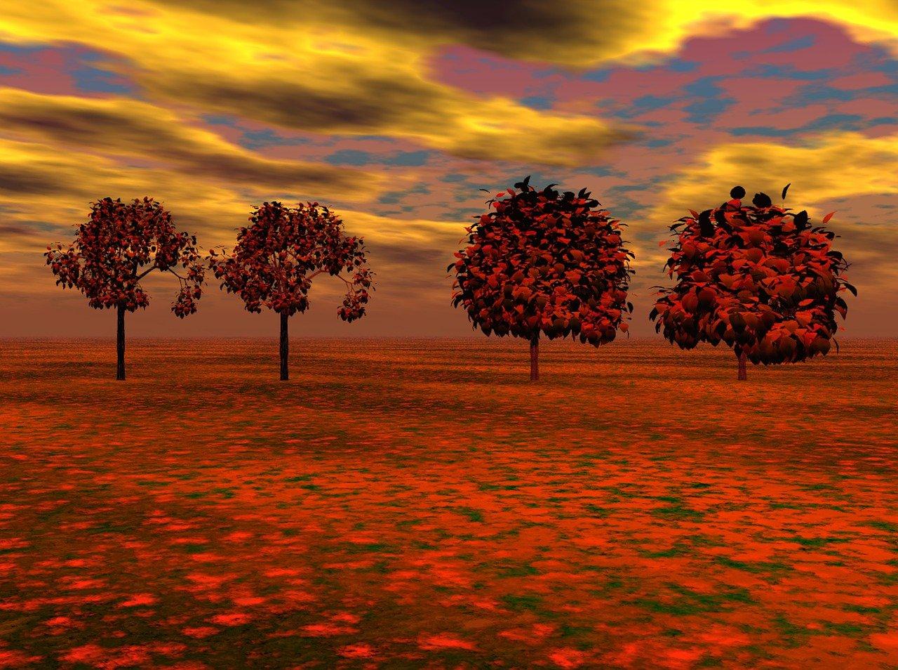 3. 树干纹理刻画