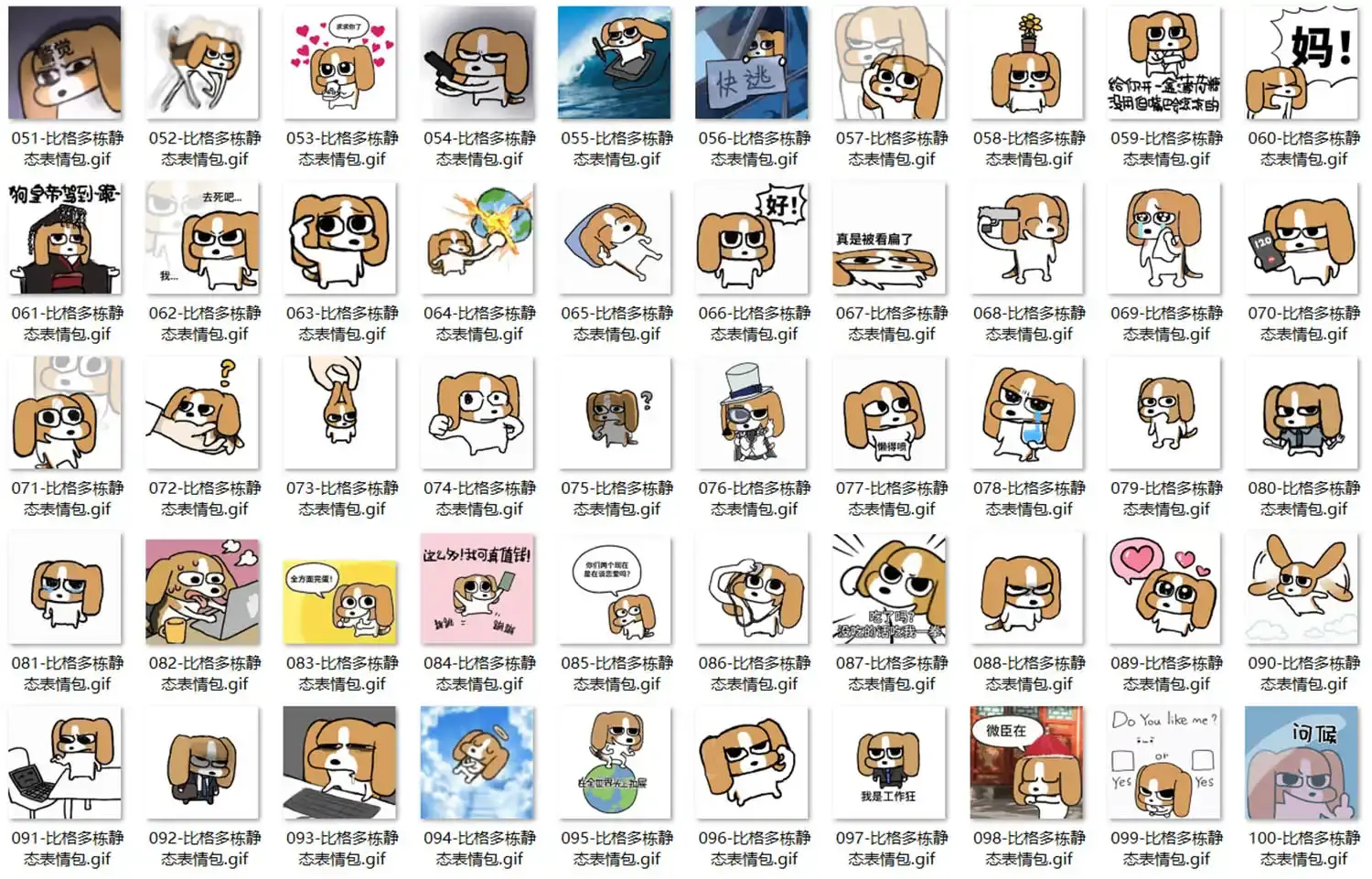 比格犬多栋表情包合集|120张动态GIF表情包|聊天斗图必备 表情包大全 - 知乎