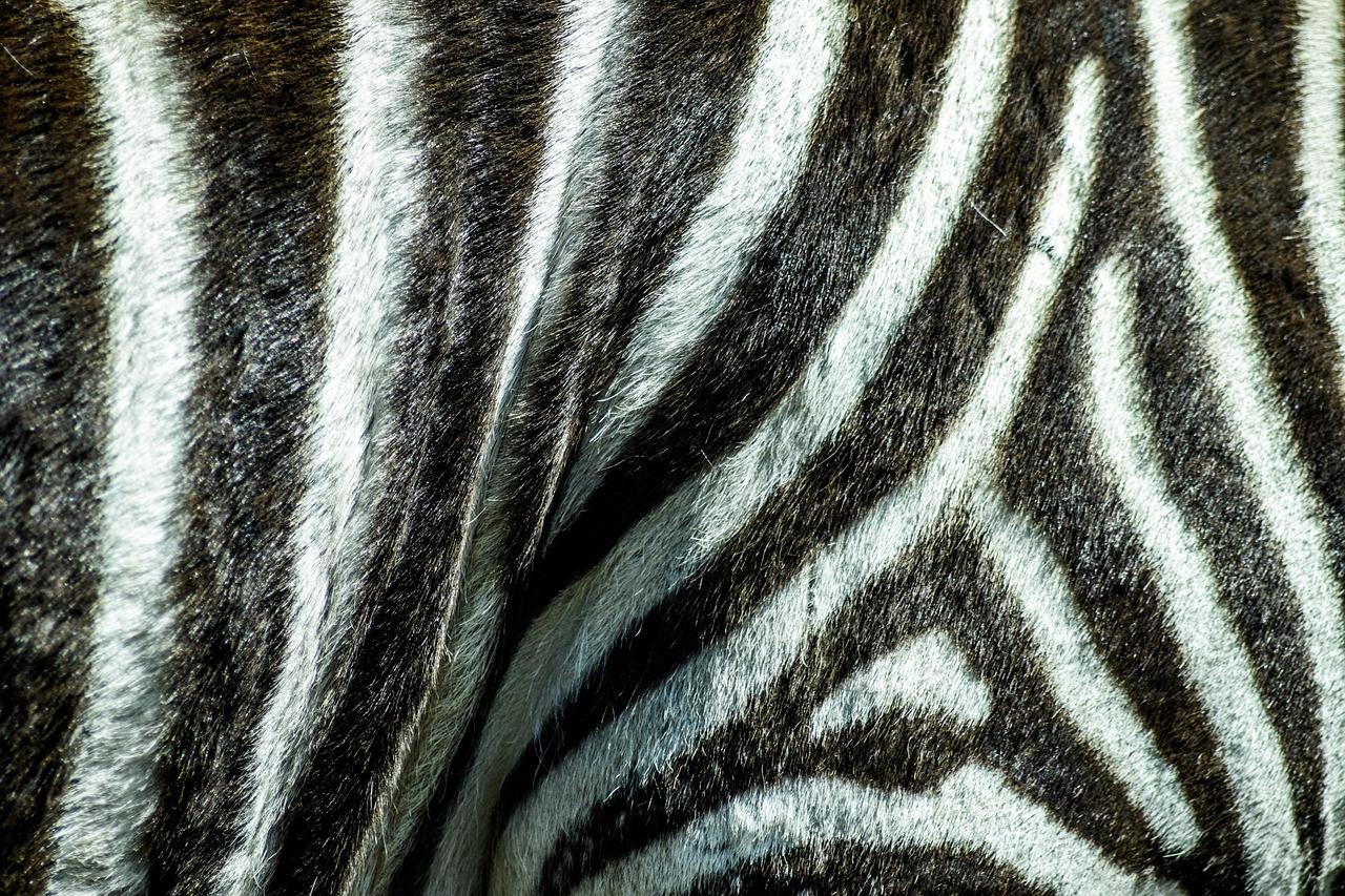 2. 海洋馆位置查询