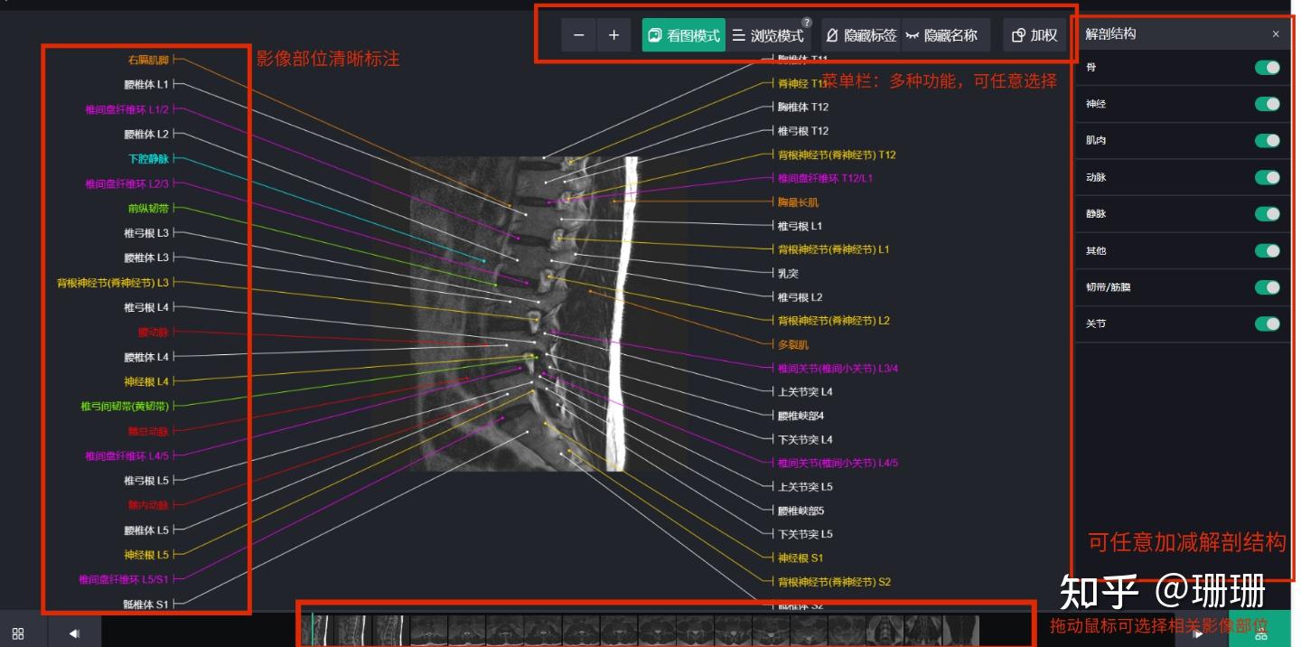 求一个3d解剖学软件? - 知乎