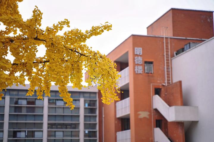 西南民族大学zhihu图片
