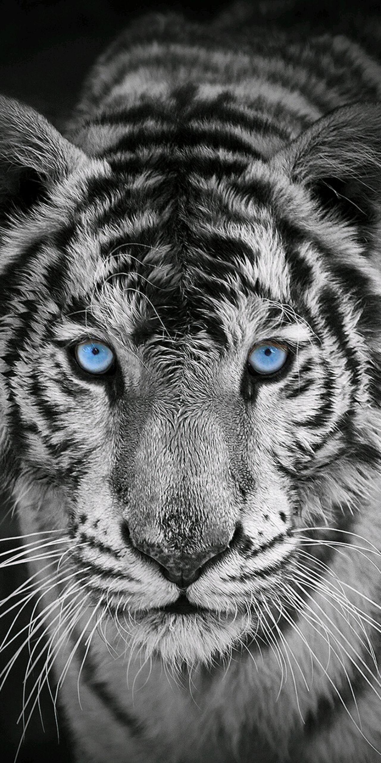 你有哪些珍藏的全面屏壁纸? - 知乎