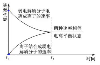 化学——原理:水溶液中的离子反应与平衡电离平衡状态 - 知乎