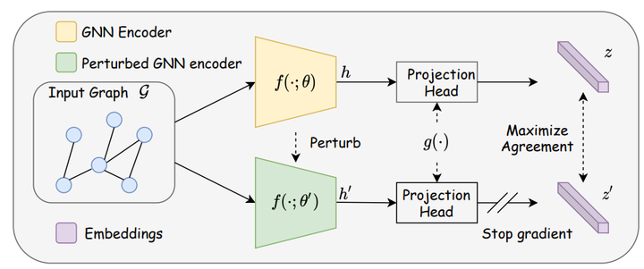 [WWW 2022] SimGRACE: A Simple Framework for Graph Contrastive Learning ...