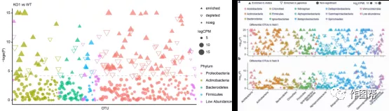 在线作图丨2分钟绘制微生物组的曼哈顿图(Taxonomy Manhattan Plot) - 知乎