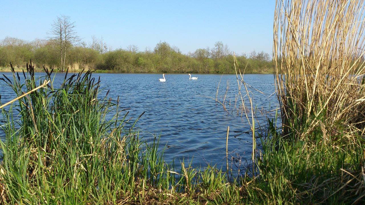 柳叶湖房价走势