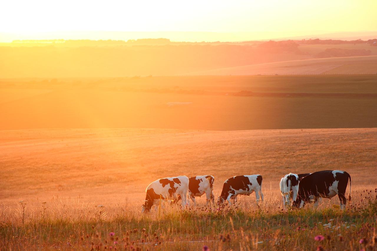 3. 房价走势分析
