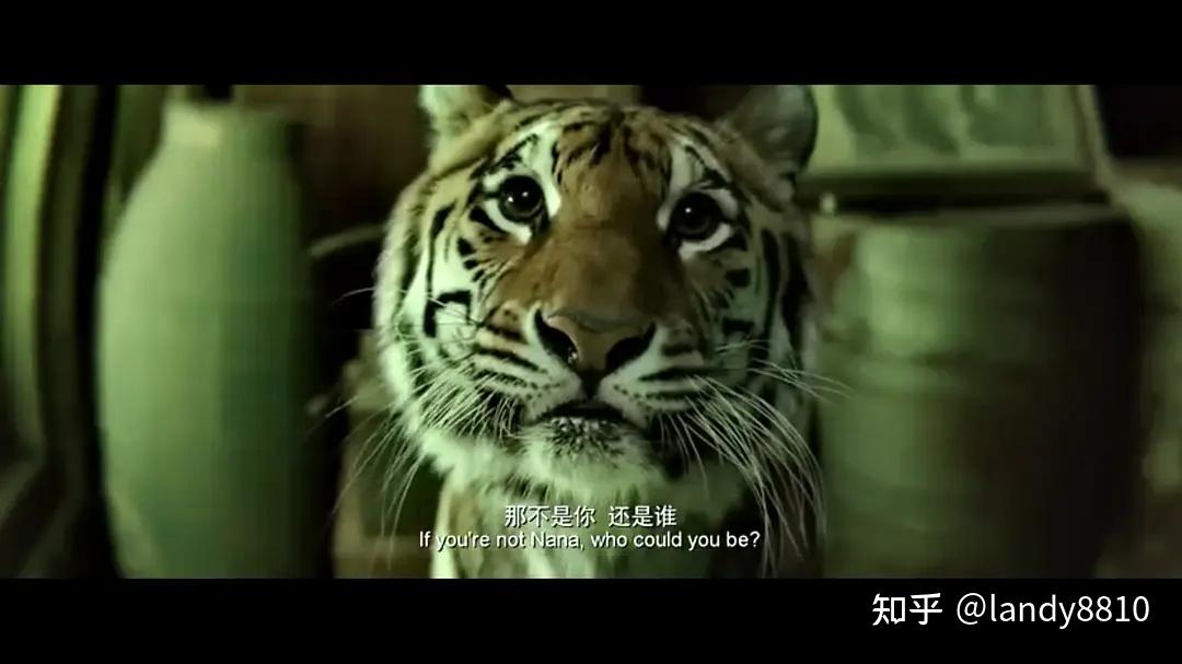 马丽,宋佳,老虎文文领衔主演,张海宇,谢锐韬主演的《阳光劫匪》剧照
