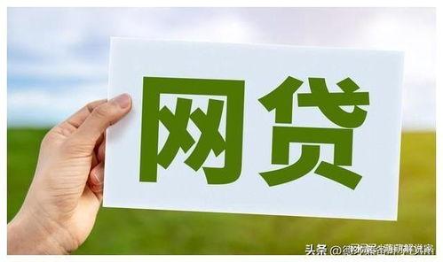 2020剩下的29家网贷平台(2020年还有几家网贷公司存活?)