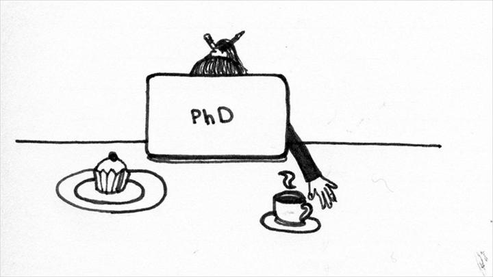 phd no papers