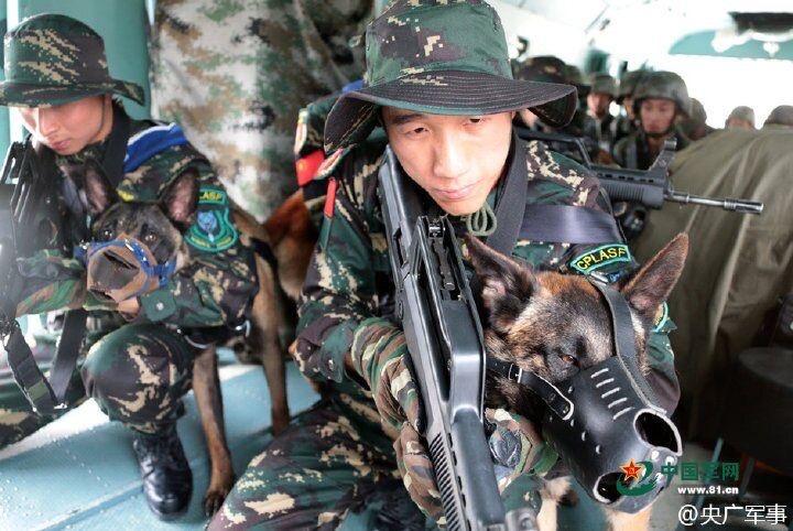 中国野狼特种部队图片