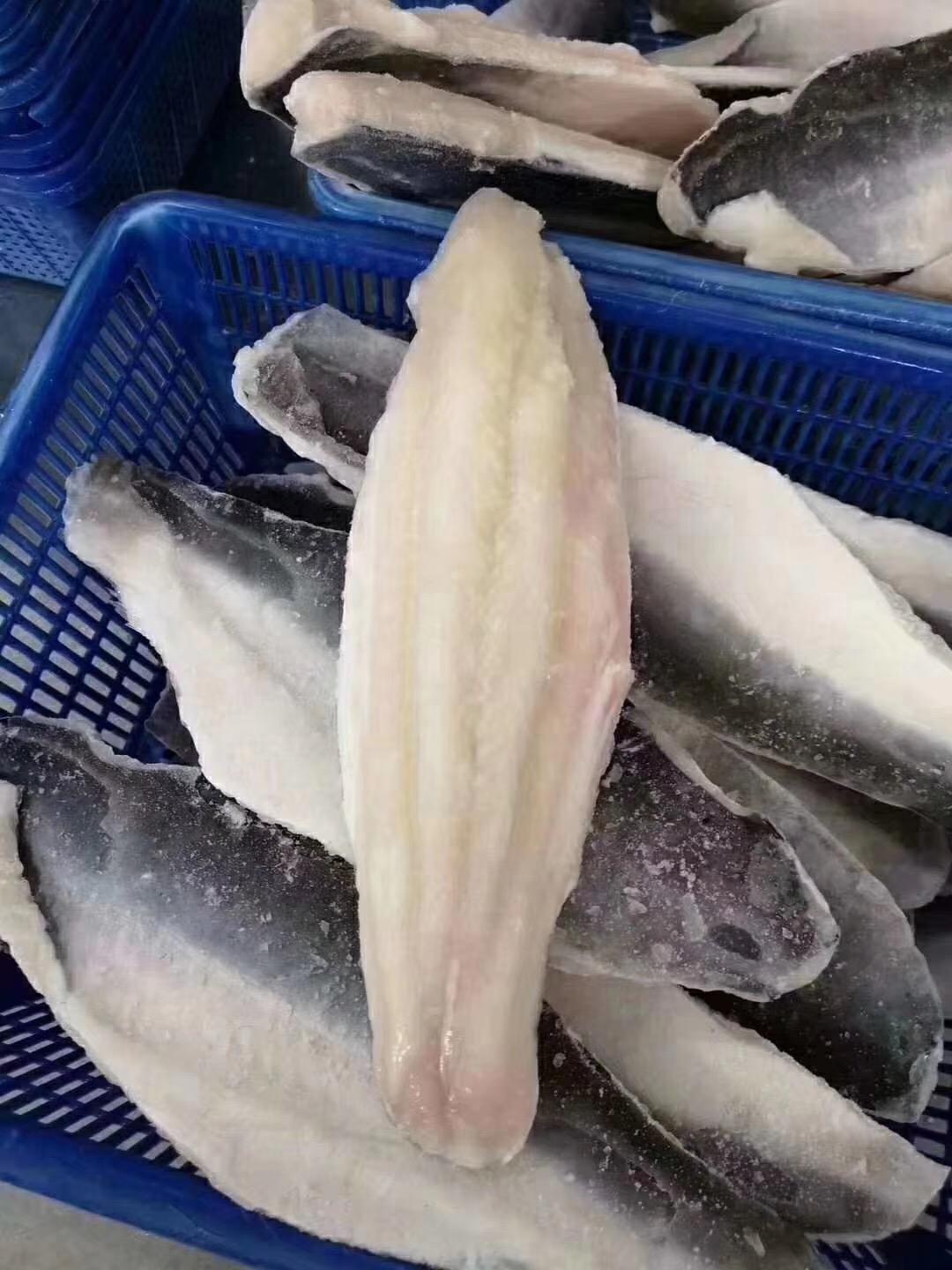 有人能介绍一下劳伦迪鱼吗