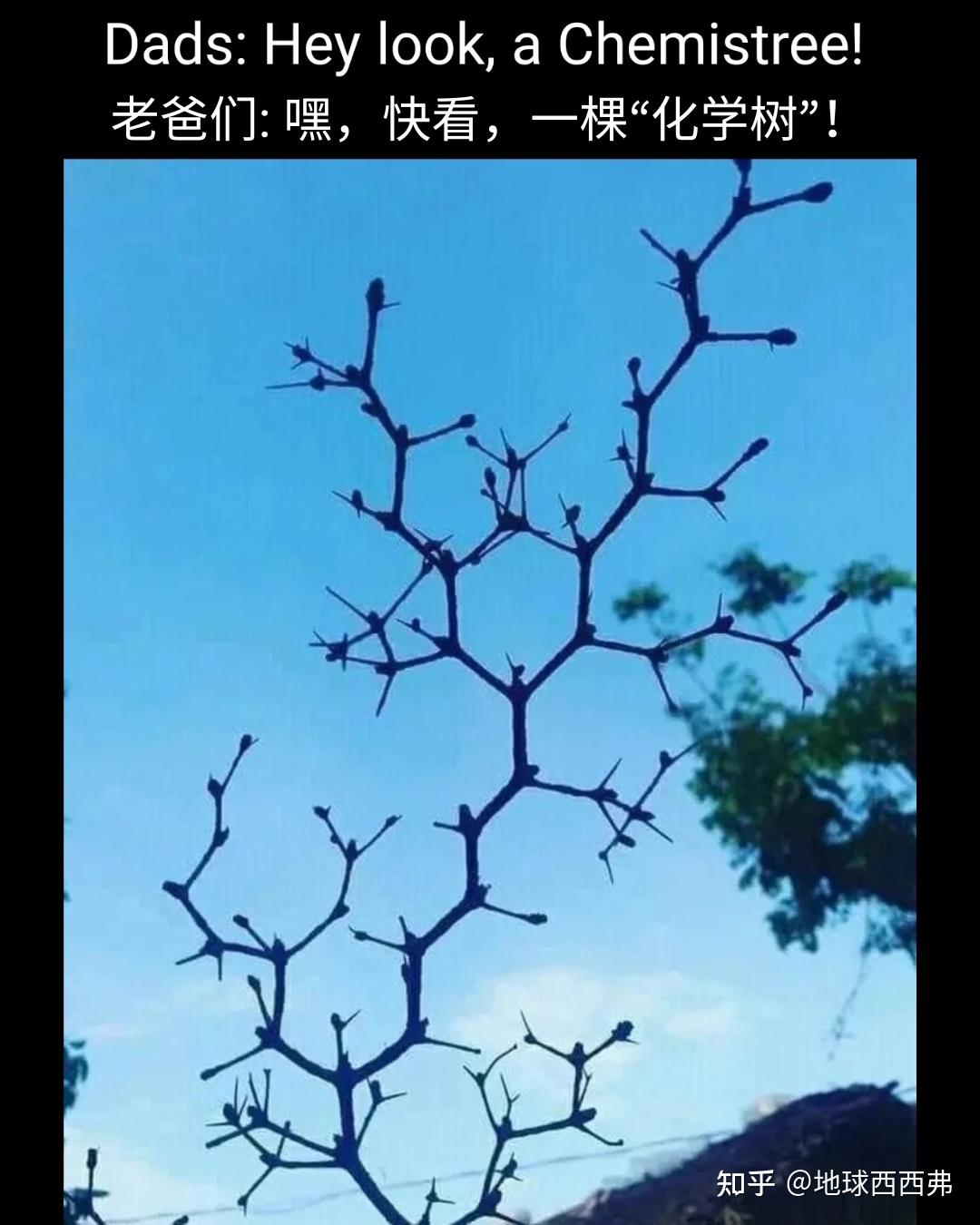 【每日meme】有机化学 篇 - 知乎
