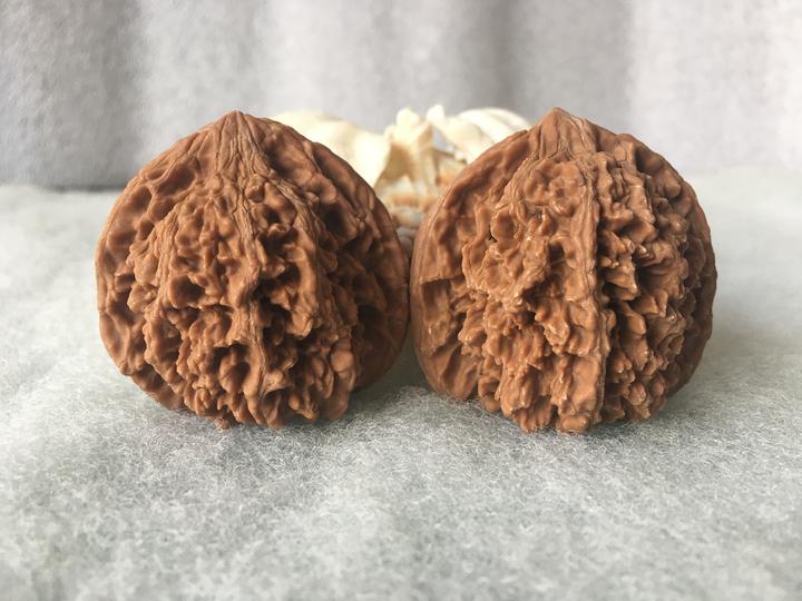 风氏文玩收藏馆0074麻核桃满天星