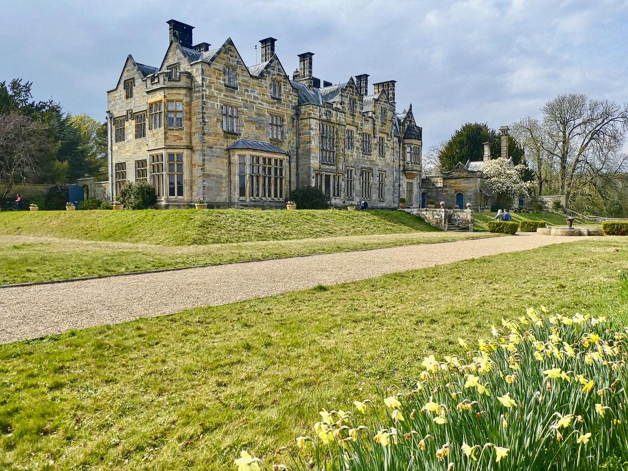 建兰市场怎么样