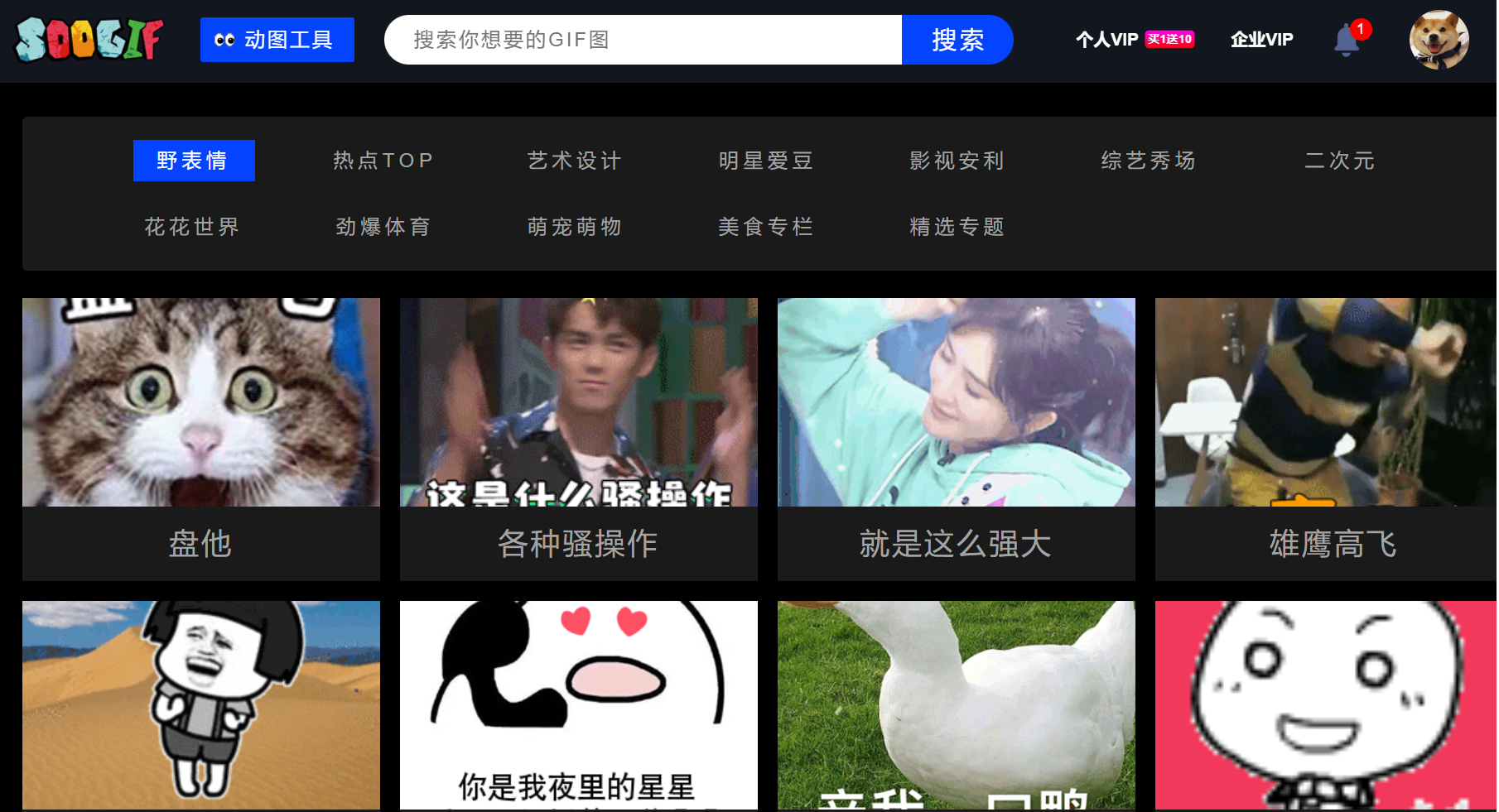 有哪些高质量GIF图片网站? - 知乎