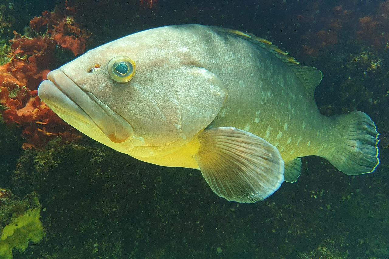 3. 尾房价格优惠