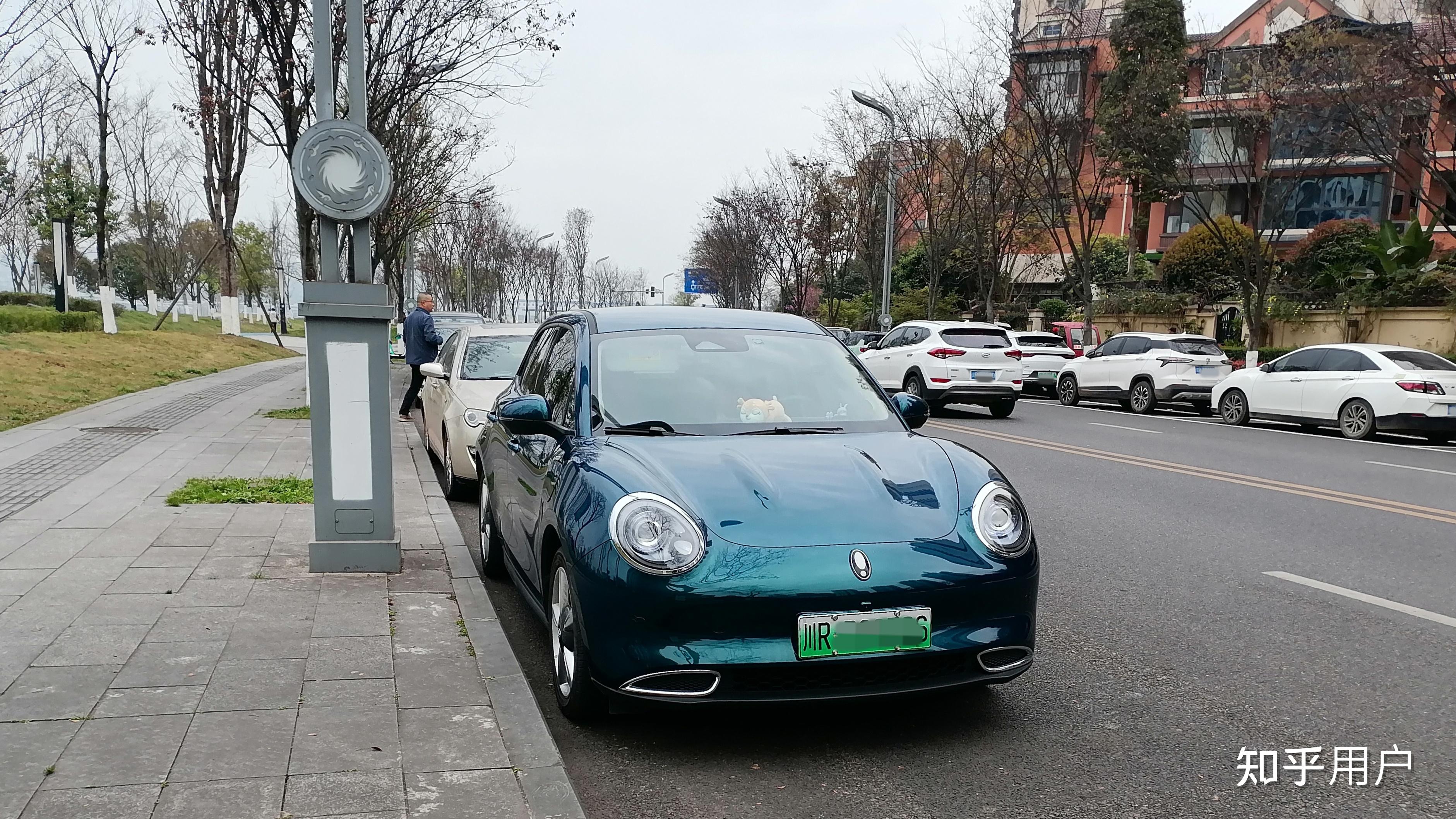 西方为什么集体退出新能源汽车?