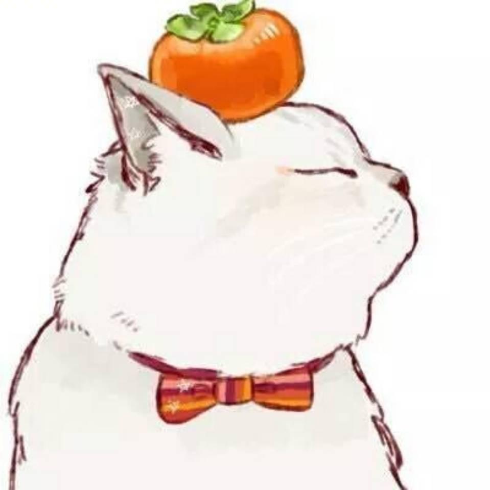 番茄猫设计