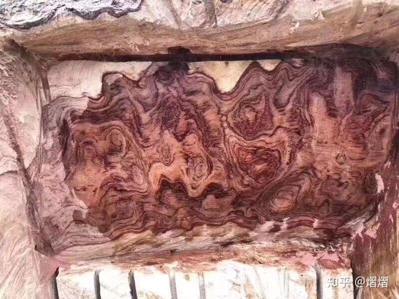 中国土豪非洲旅行,部落酋长送他一颗千年大树,回国后发现价值千万 - 知乎