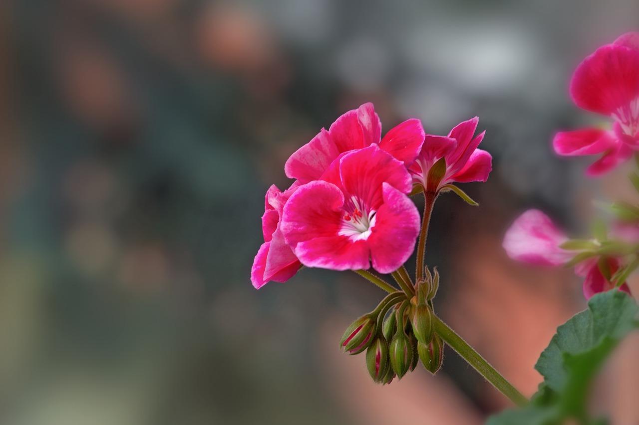 亿达依兰楼盘价格