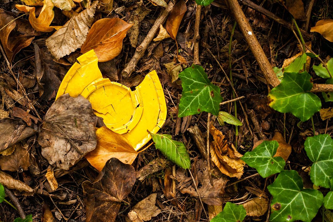3. 硬叶植物应用