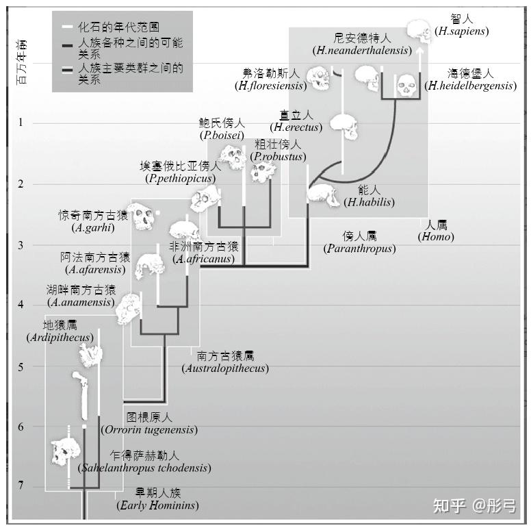 “生物学人类”的起源和人类的本质 - 知乎