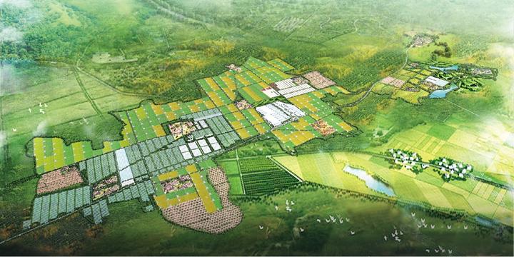 【现代农业新地标】从传统到现代,阳原县辛堡乡现代农业产业园