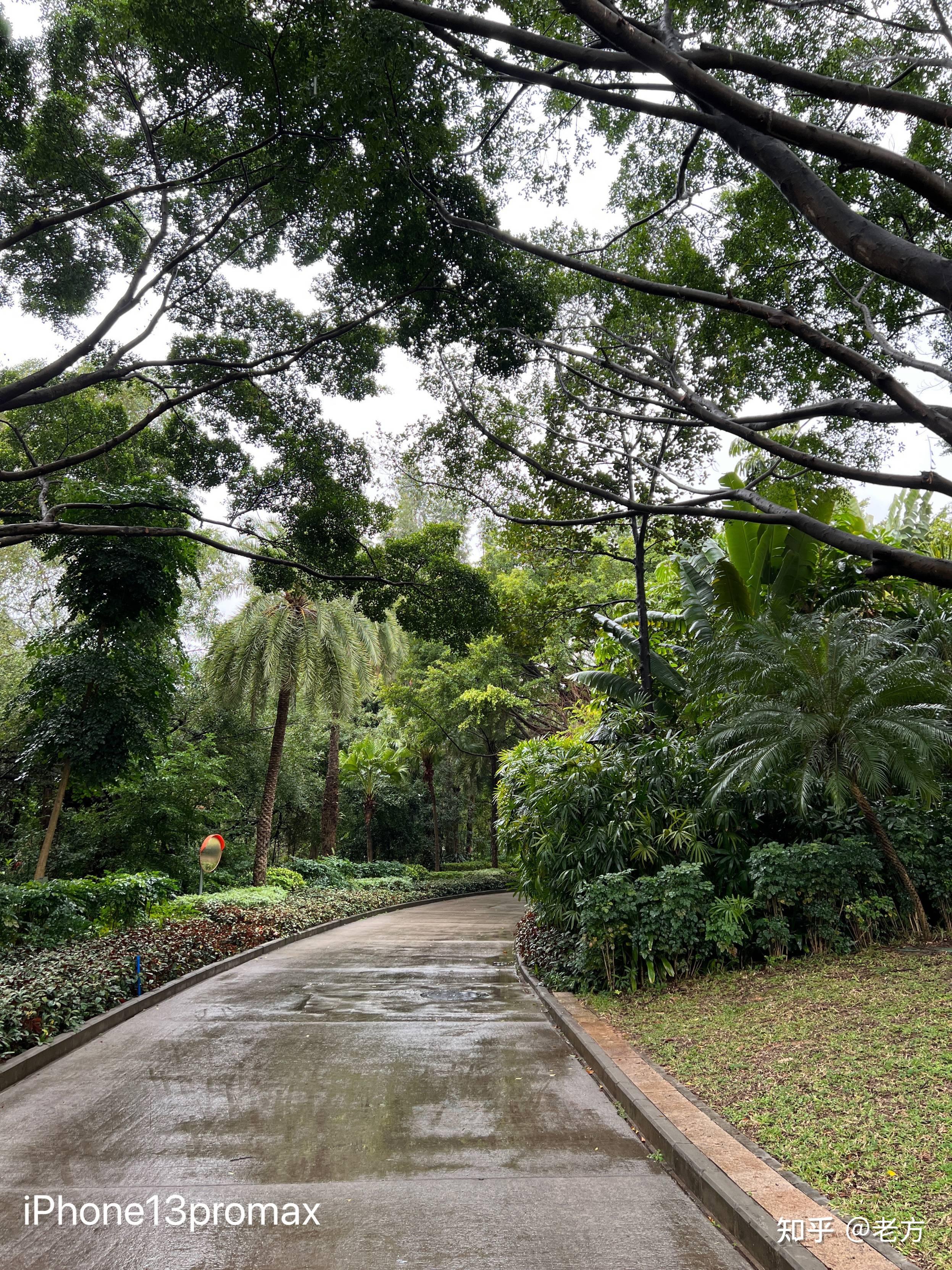 收購iPhone13Promax