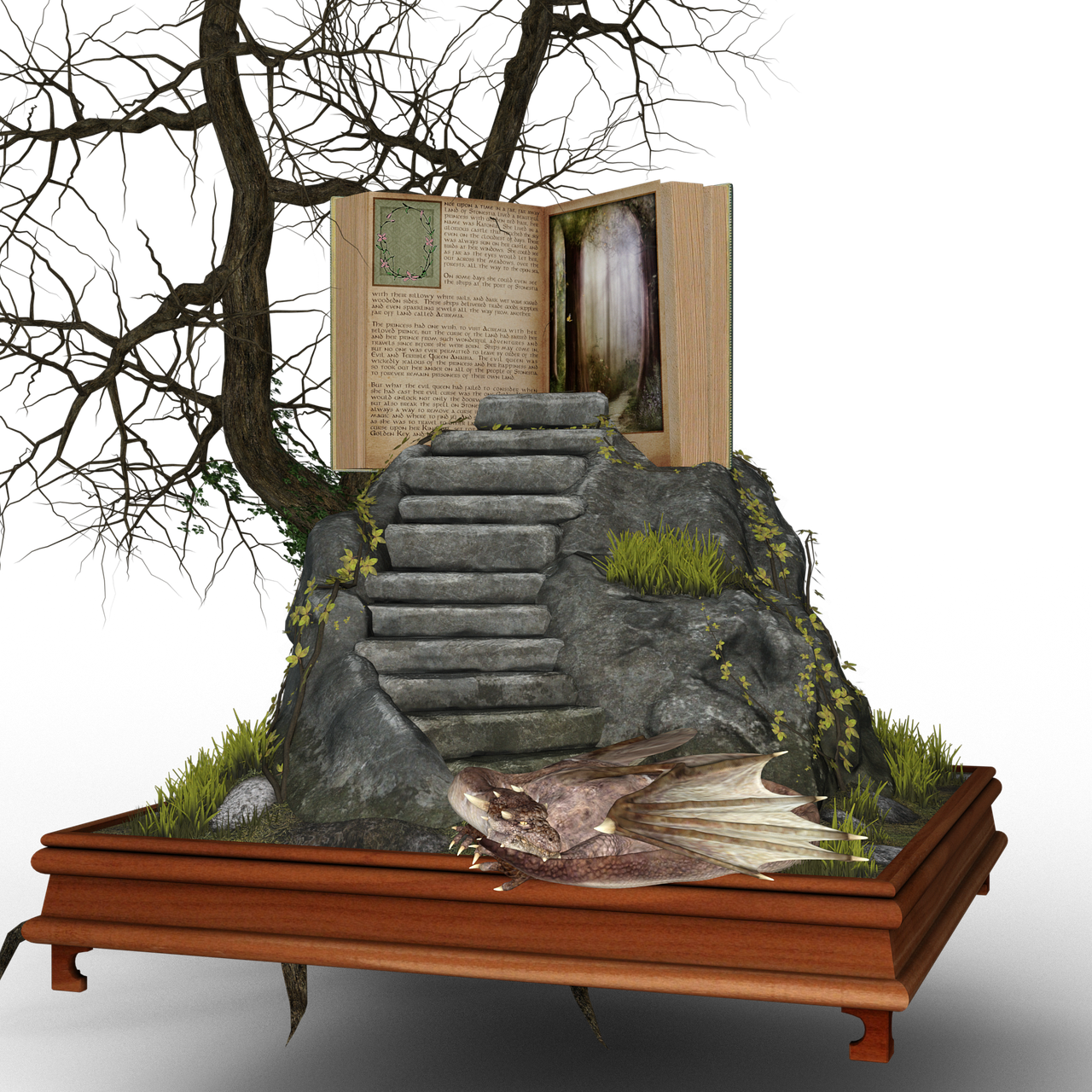 小熊的森林探险之旅