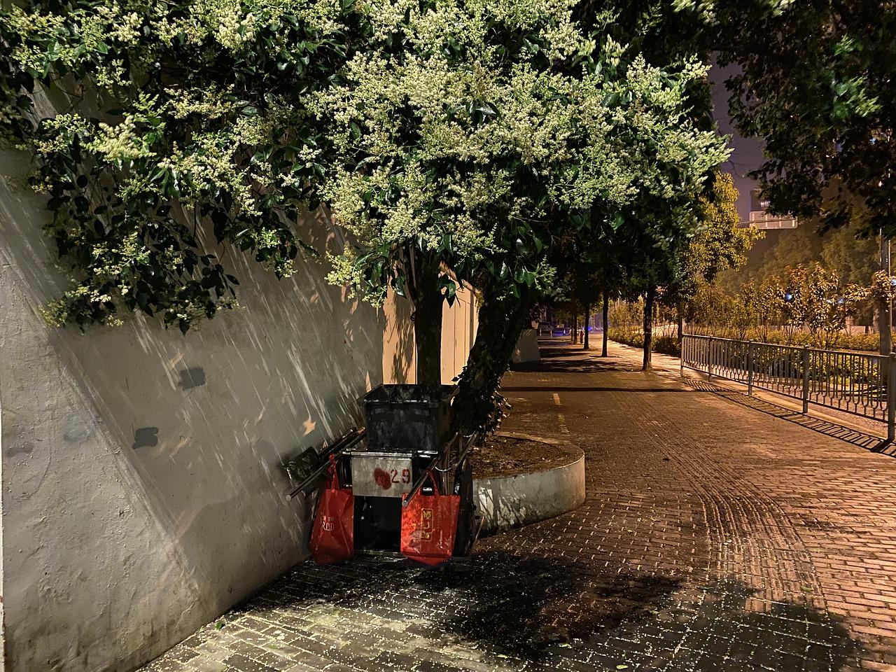 4. 路灯采购预算