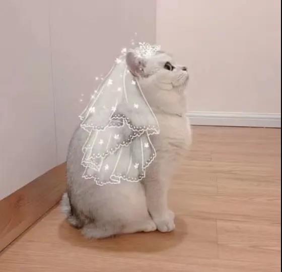 有没有什么惊艳的微信头像?-特别惊艳到人的微信头像