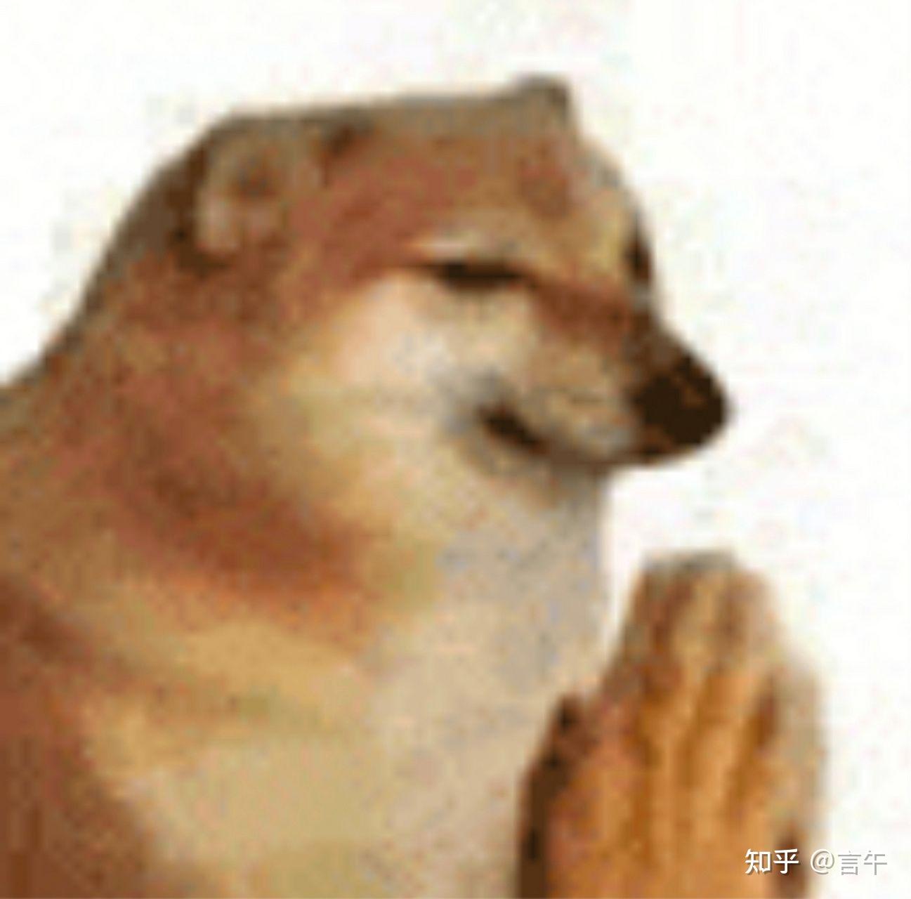 有没有如图所示cheems为主角的梗图,或者是cheems和doge在一起系列的