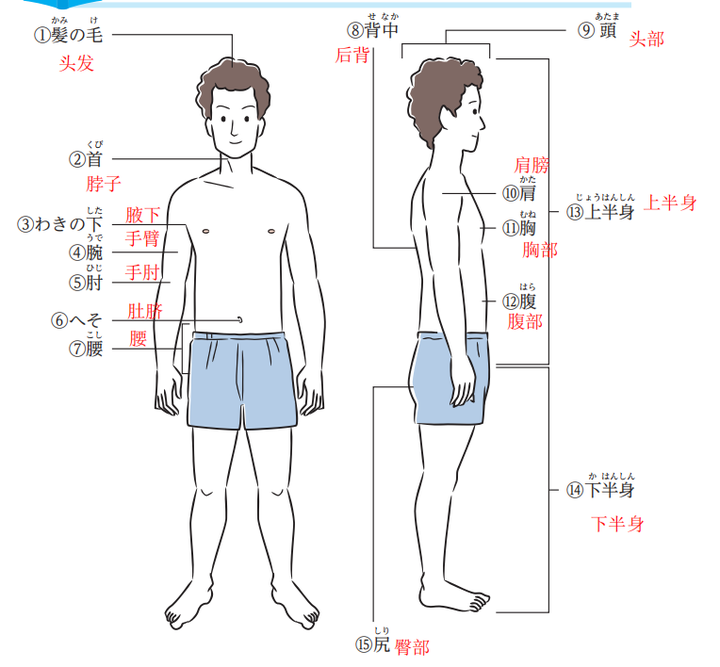 介护初级培训课程第一章 - 知乎